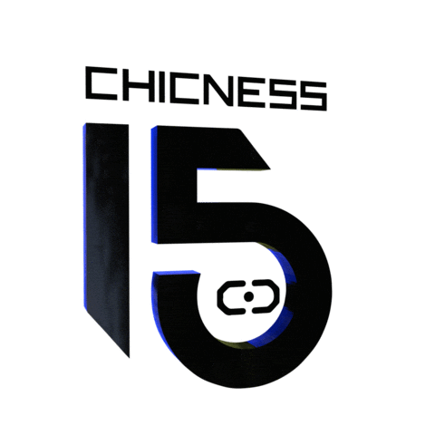 Chicness Music Experience Sticker by chicnessevents