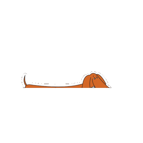 Animated Sticker