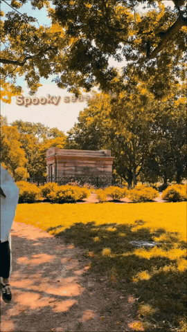 Halloween Fall GIF by Brach's