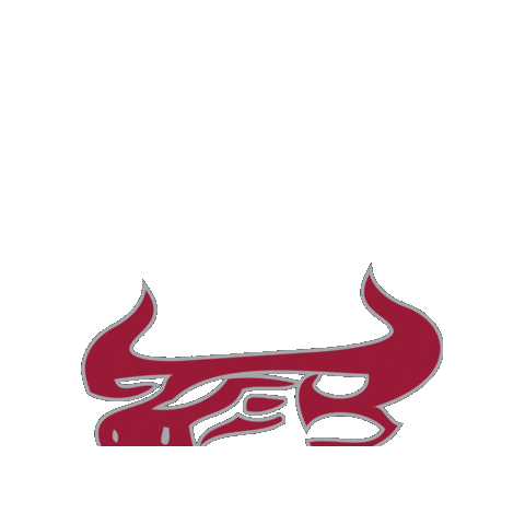 THE BALDWIN SCHOOL OF PR Sticker