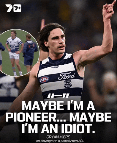 Geelong Cats 7Afl GIF