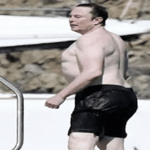Elon Musk GIF