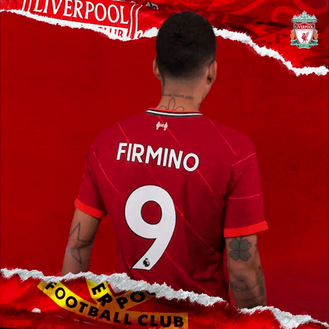 Roberto Firmino Good Job GIF by Liverpool FC
