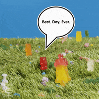 Happy Best Day Ever GIF by HARIBO