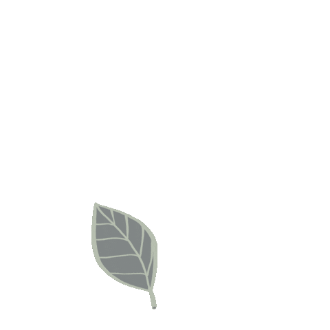 Leaves Leaf Sticker