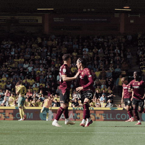 Celebrations GIF by Bolton Wanderers FC