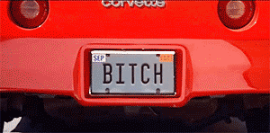 bitch