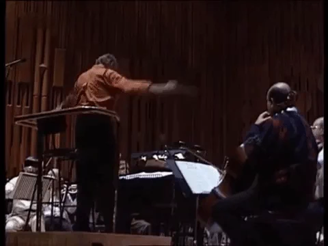 Conductor Conducting GIF