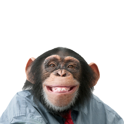 Thomas More School Sticker by Karel de Grote Hogeschool