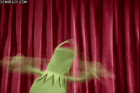kermit the frog applause GIF by Cheezburger