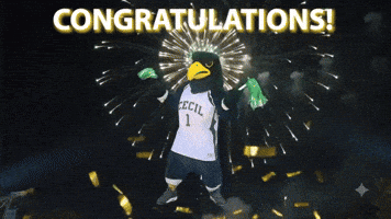 Congratulations, Seahawks!