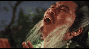 martial arts please GIF by Shaw Brothers