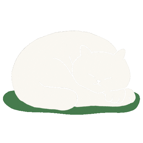 Cat Sticker