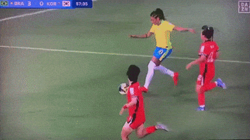 Brazil GIF