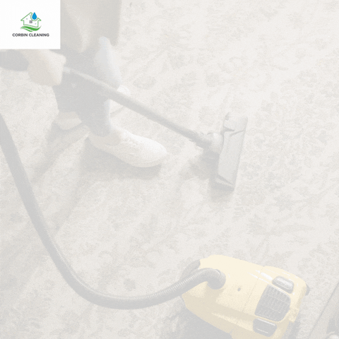 Carpet Cleaners In Raleigh Nc GIF