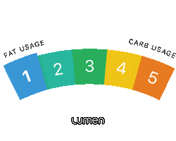 Lumen Sticker