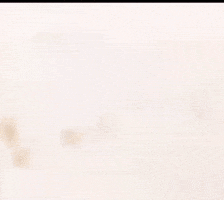 Sun Wukong Wukong GIF