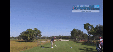 Golf GIF