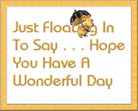 Have A Wonderful Day GIFs