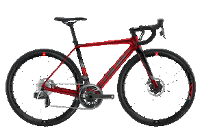 Bike Bicycling Sticker by Coluer Bikes