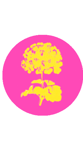 Sticker by elgeraniorojo
