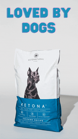 Dogs Dogfood GIF by KetoNatural Pet Foods