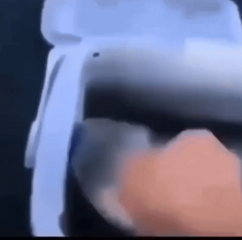Meme GIF