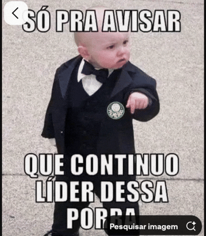 Sep Verdao GIF