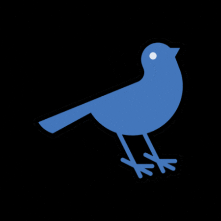 Blue Bird Ski GIF by Stevens Pass