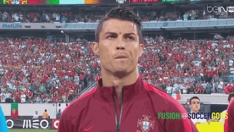 Soccer Portugal GIF