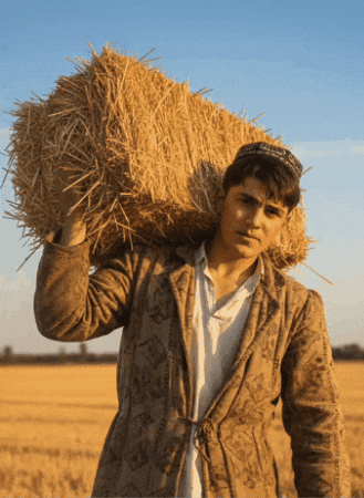 Baukagif GIF