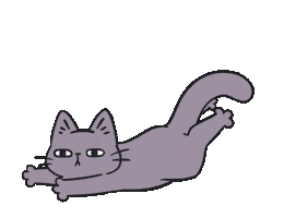 Cat Dancingcat Sticker