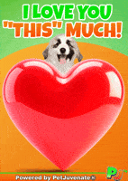 I Love You Lov U Pj Petjuvenate GIF by PetJuvenate - PJ