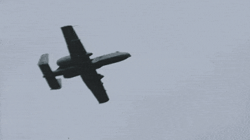 Military GIF