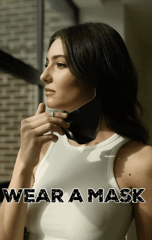 facesilk mask silk wear a mask Silky GIF