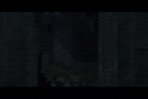 Puppet Giving GIF