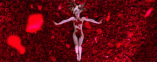 Resultado de imagen para american beauty angela
