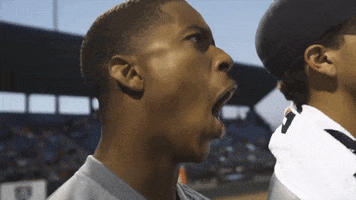 Area Code Baseball GIF