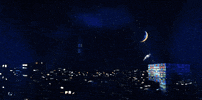 GIF by Citymarketing Breda