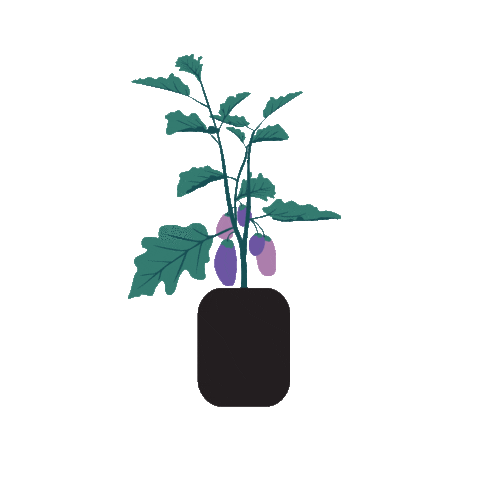 Grow Sticker by Alvéole