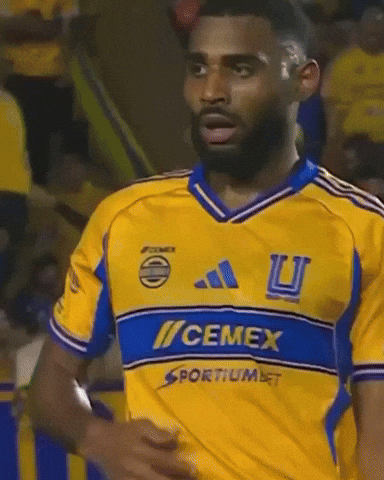 Liga Mx Tigres GIF