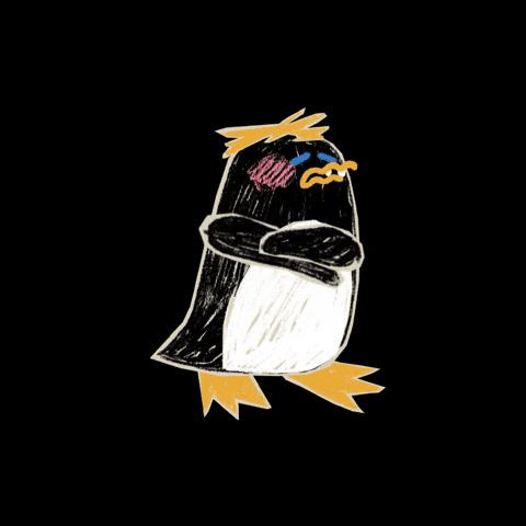 Eisprung cold pingu pinguin icey GIF