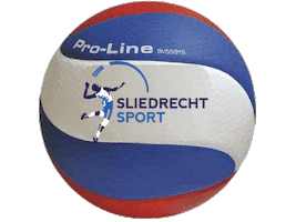 Volleyball Sticker by sliedrechtsport