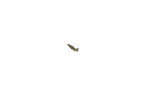 Dino Sticker
