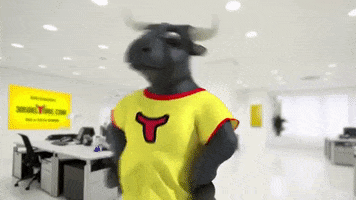 Del Toro Insurance GIF