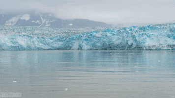 Disney Cruise Alaska GIF