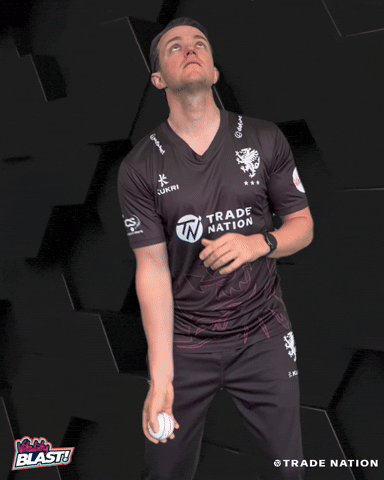 GIF by Somerset County Cricket Club