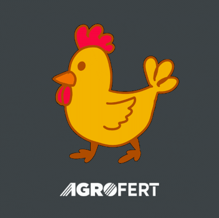 GIF by AGROFERT