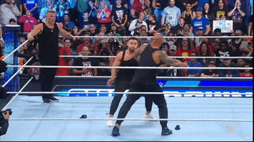 Wwe GIF