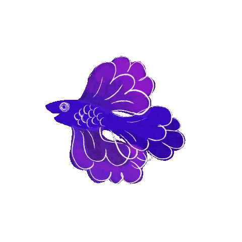 Fish Sticker